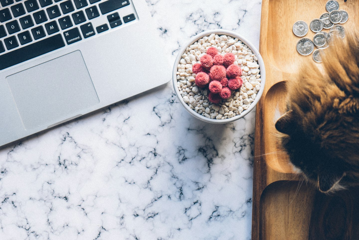 A laptop, potted plant, and coins on a marble desk.