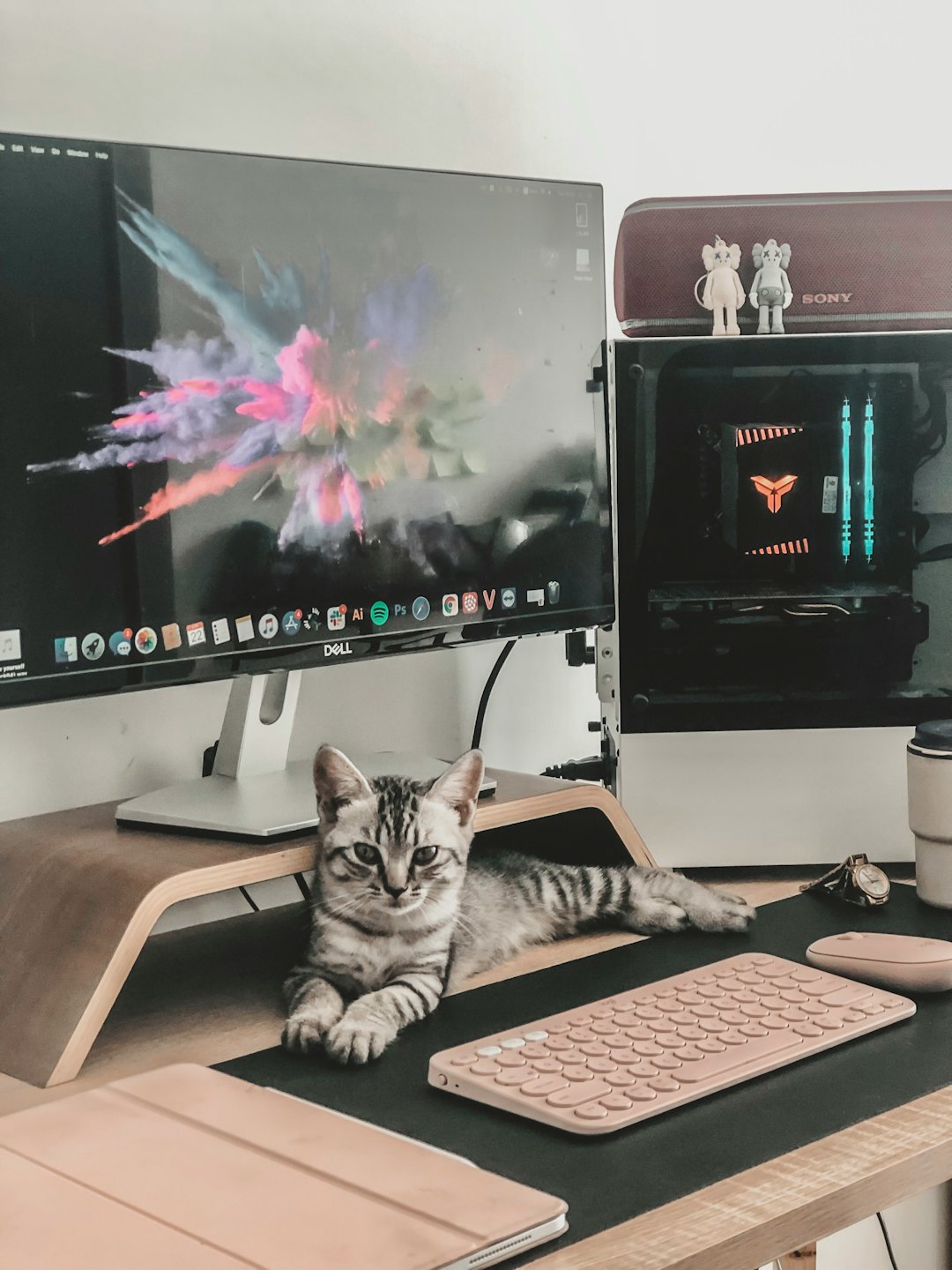 A tabby kitten sits on a desk beside computer equipment.